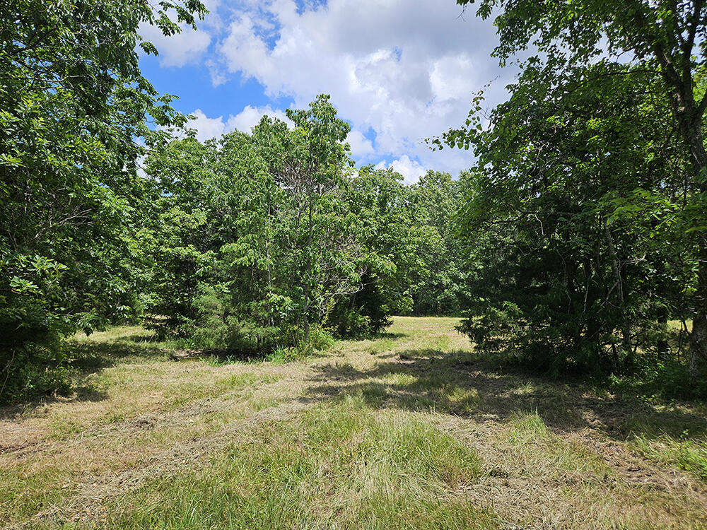 00 Forest Road 7989 Property Photo 29