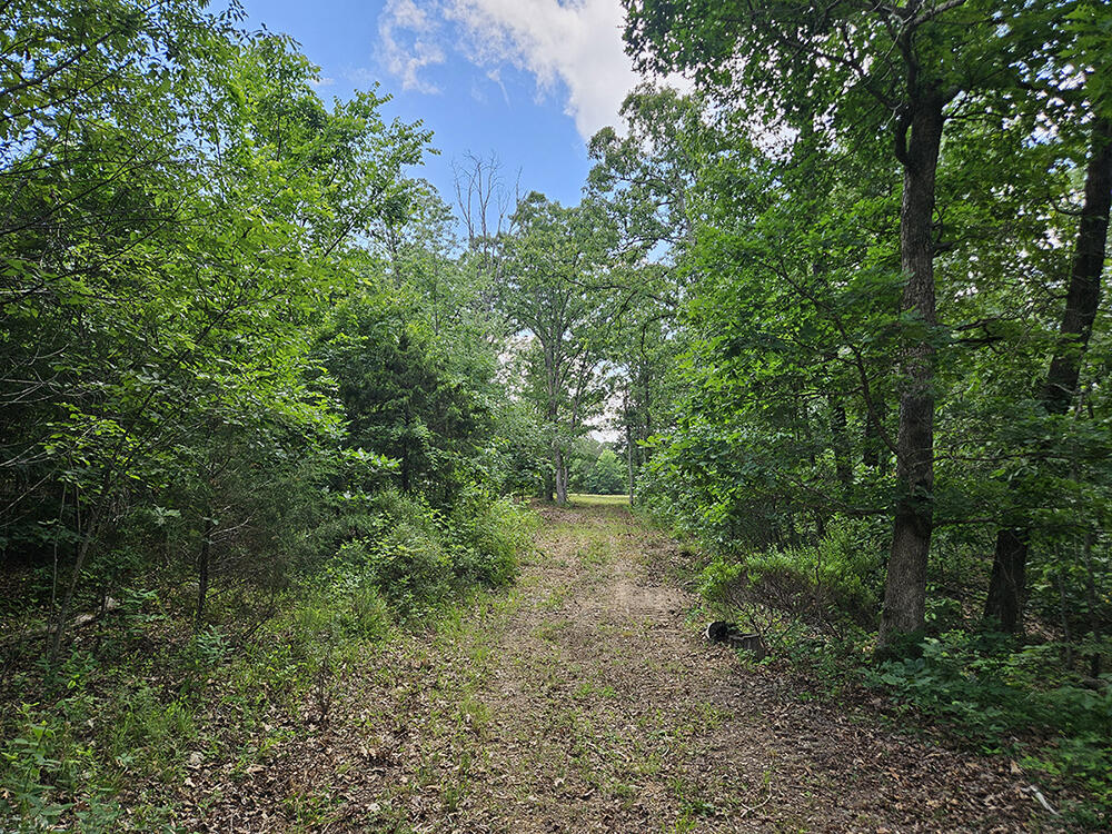 00 Forest Road 7989 Property Photo 30