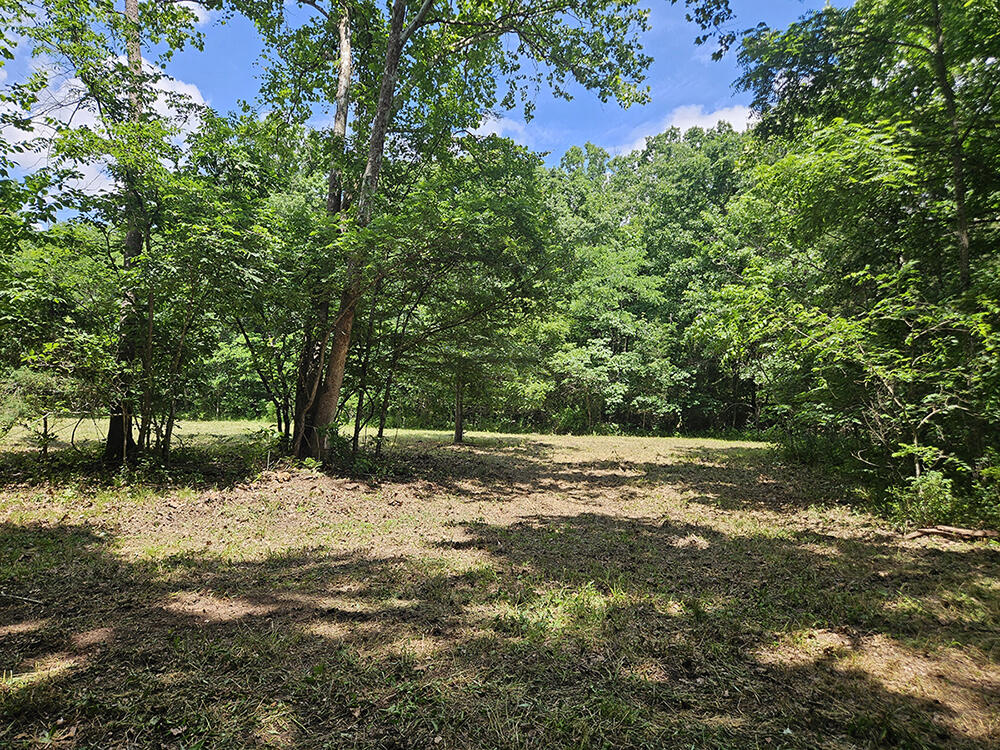 00 Forest Road 7989 Property Photo 34