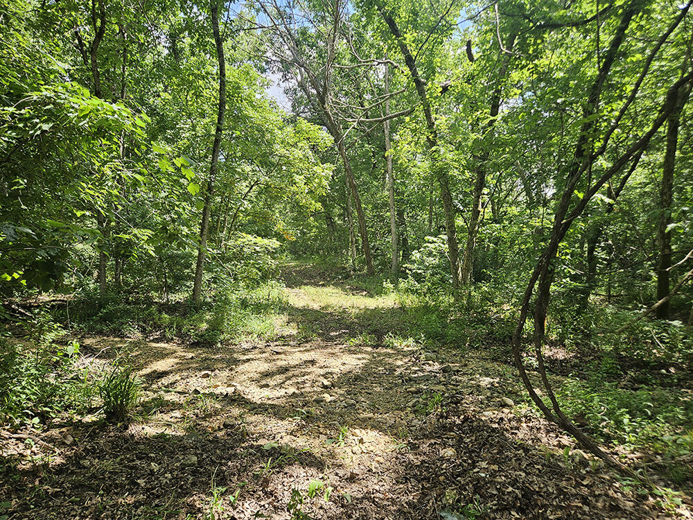 00 Forest Road 7989 Property Photo 35