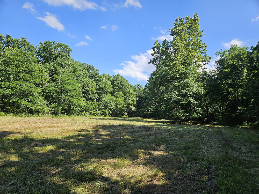 00 Forest Road 7989 Property Photo 40