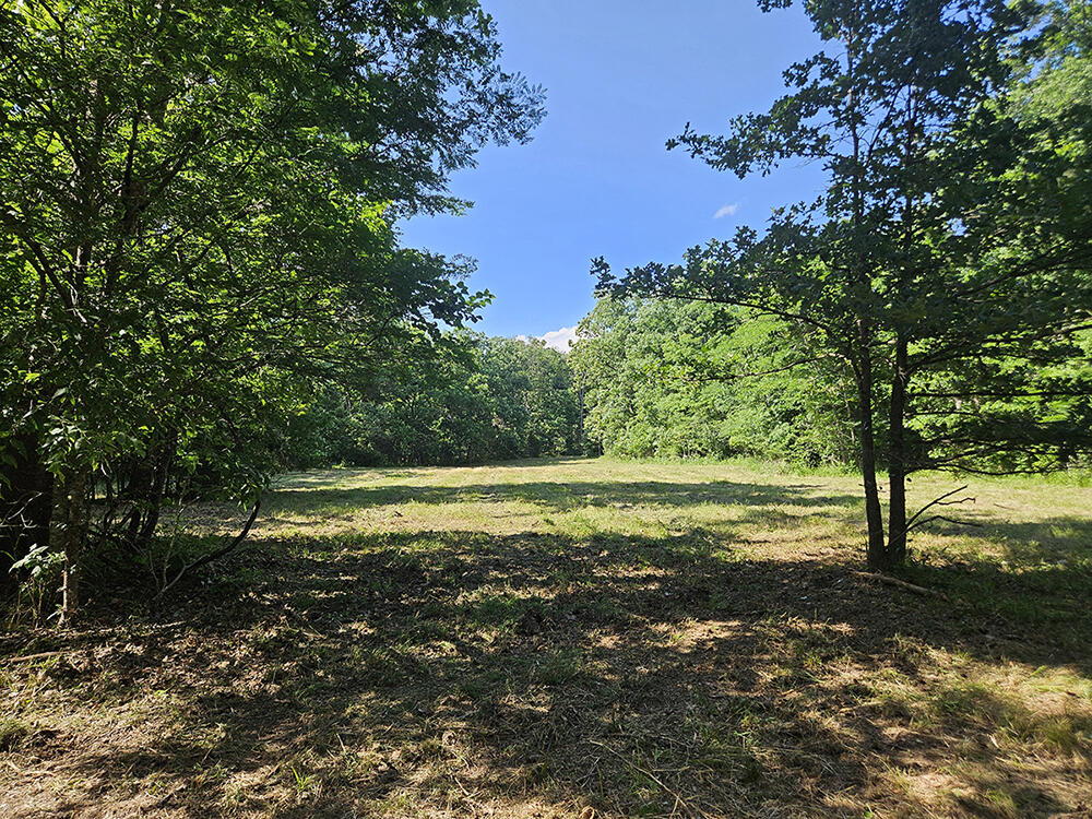00 Forest Road 7989 Property Photo 41