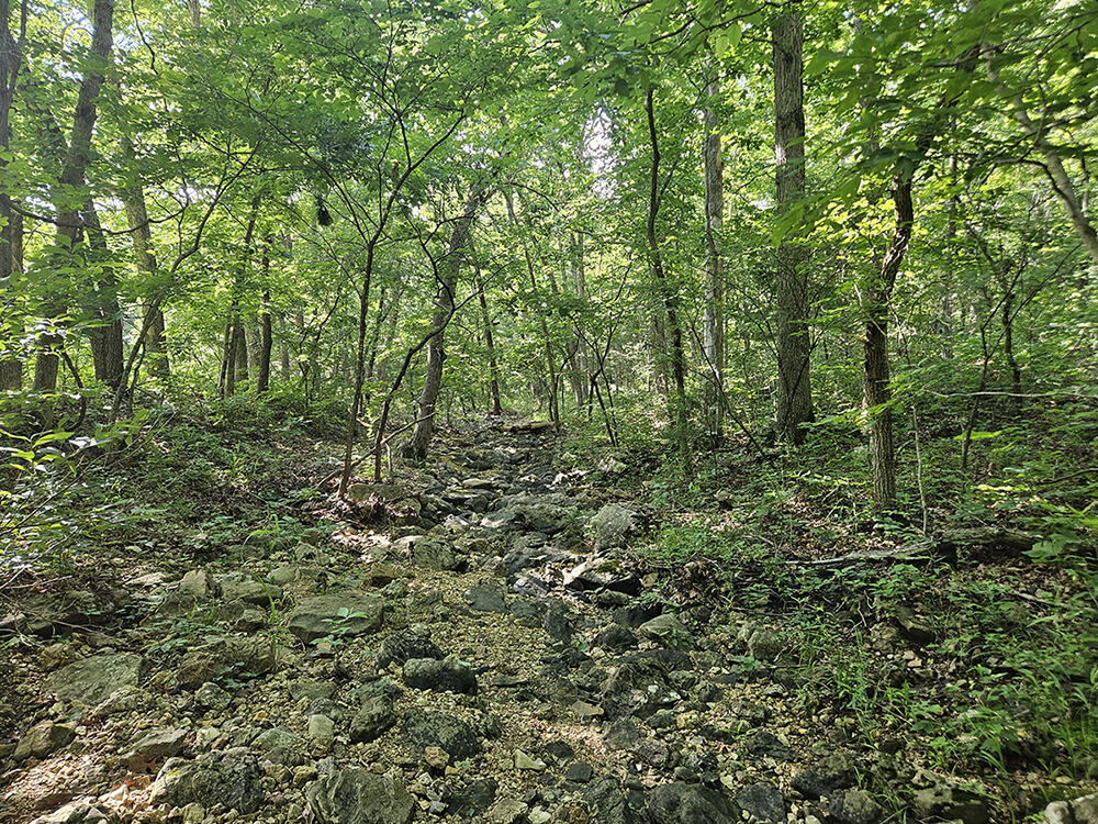 00 Forest Road 7989 Property Photo 42