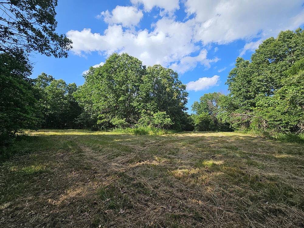 00 Forest Road 7989 Property Photo 43