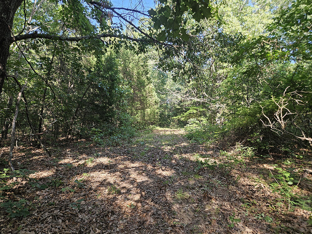 00 Forest Road 7989 Property Photo 45