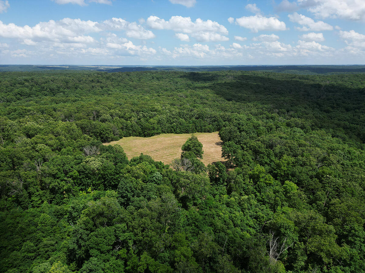 00 Forest Road 7989 Property Photo 50