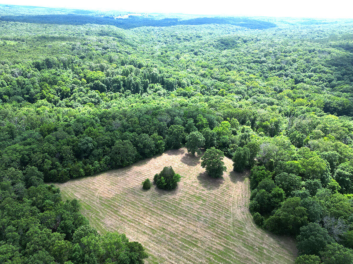 00 Forest Road 7989 Property Photo 52