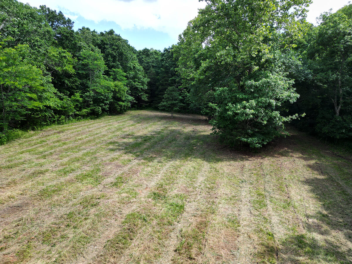 00 Forest Road 7989 Property Photo 53