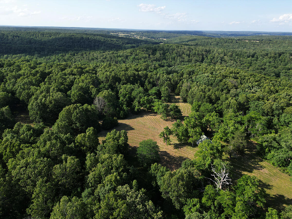 00 Forest Road 7989 Property Photo 61