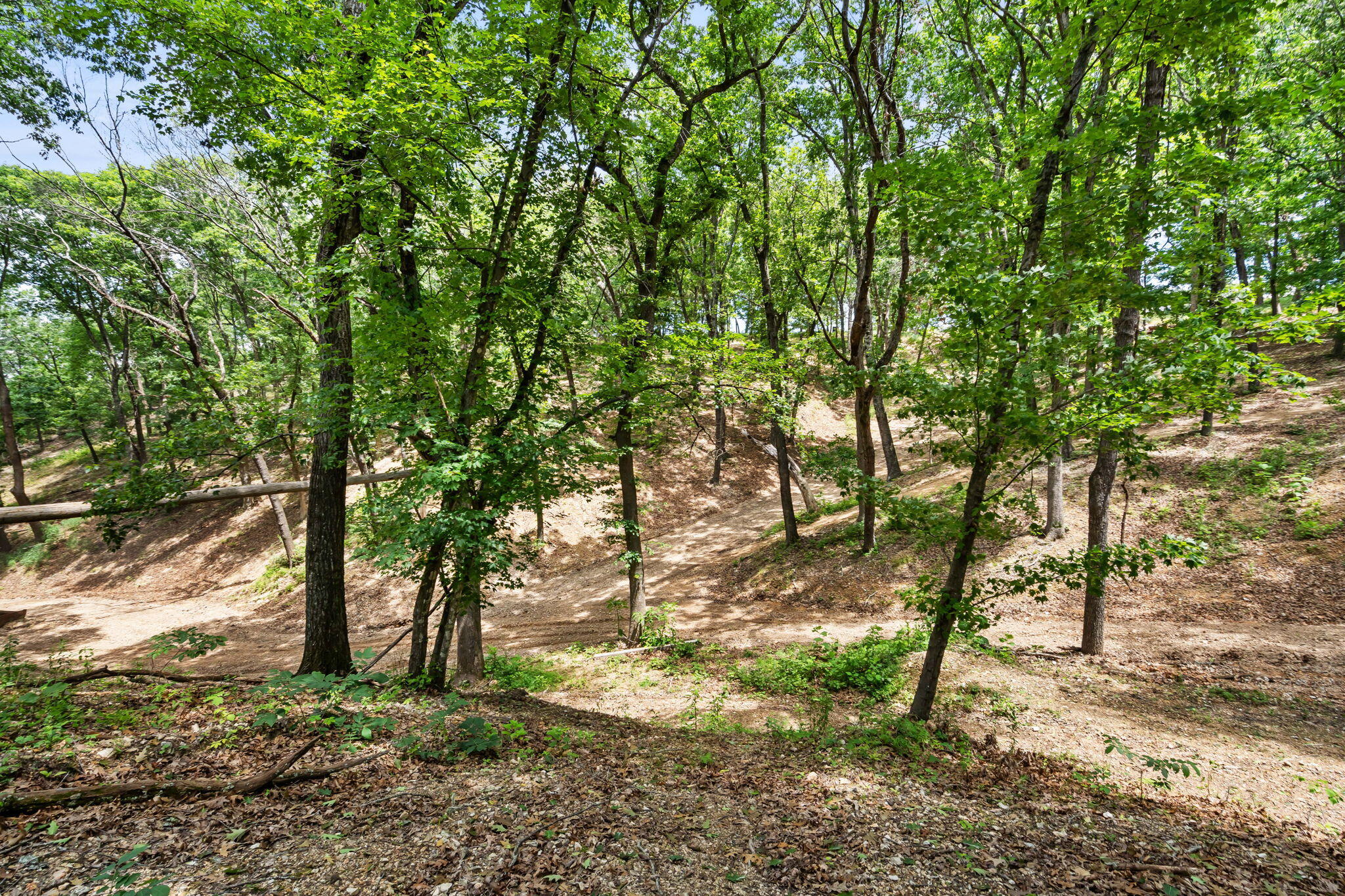 150 Jim Linegar Lane Property Photo 19