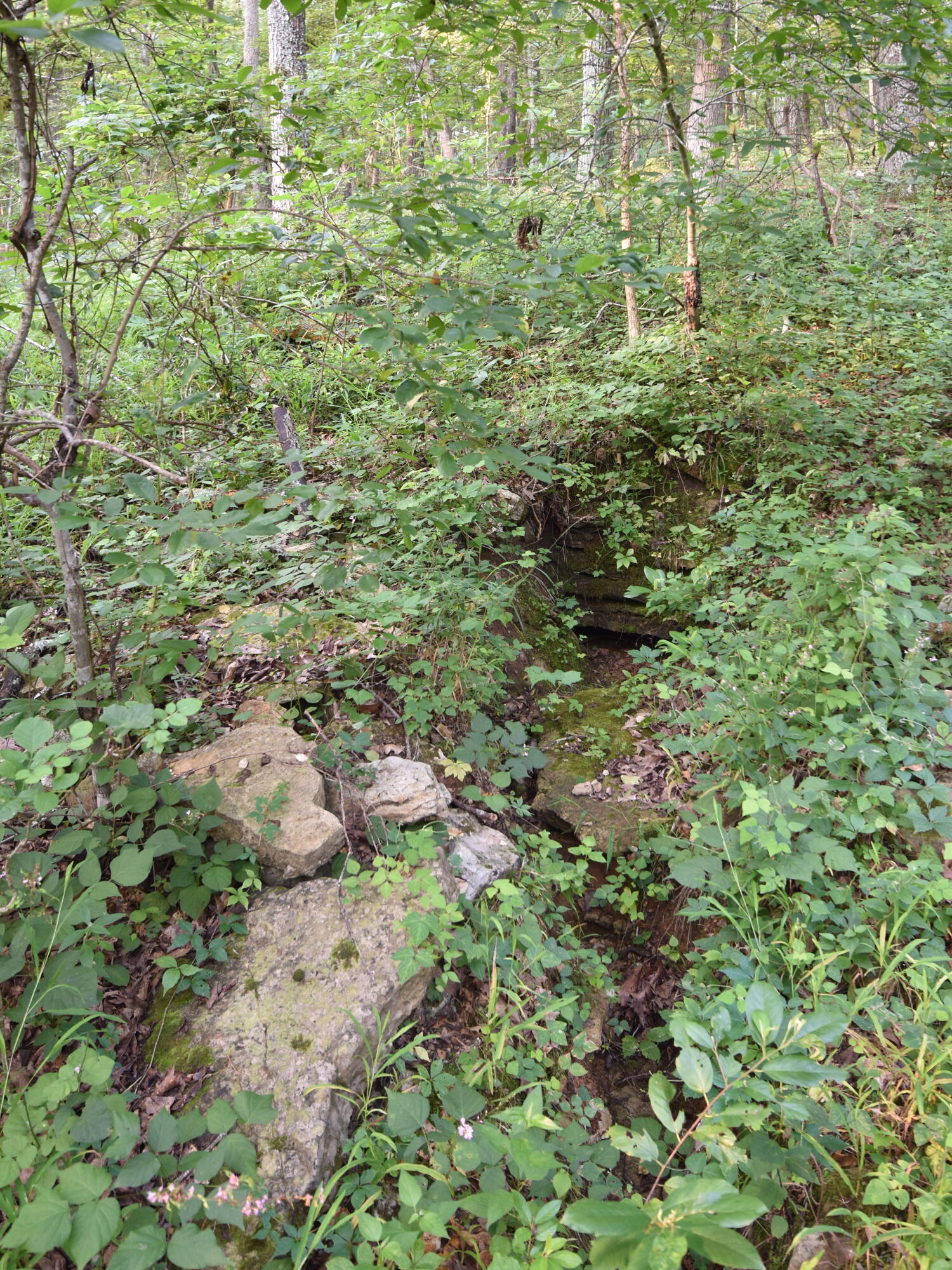 000 Highway Y Property Photo 11