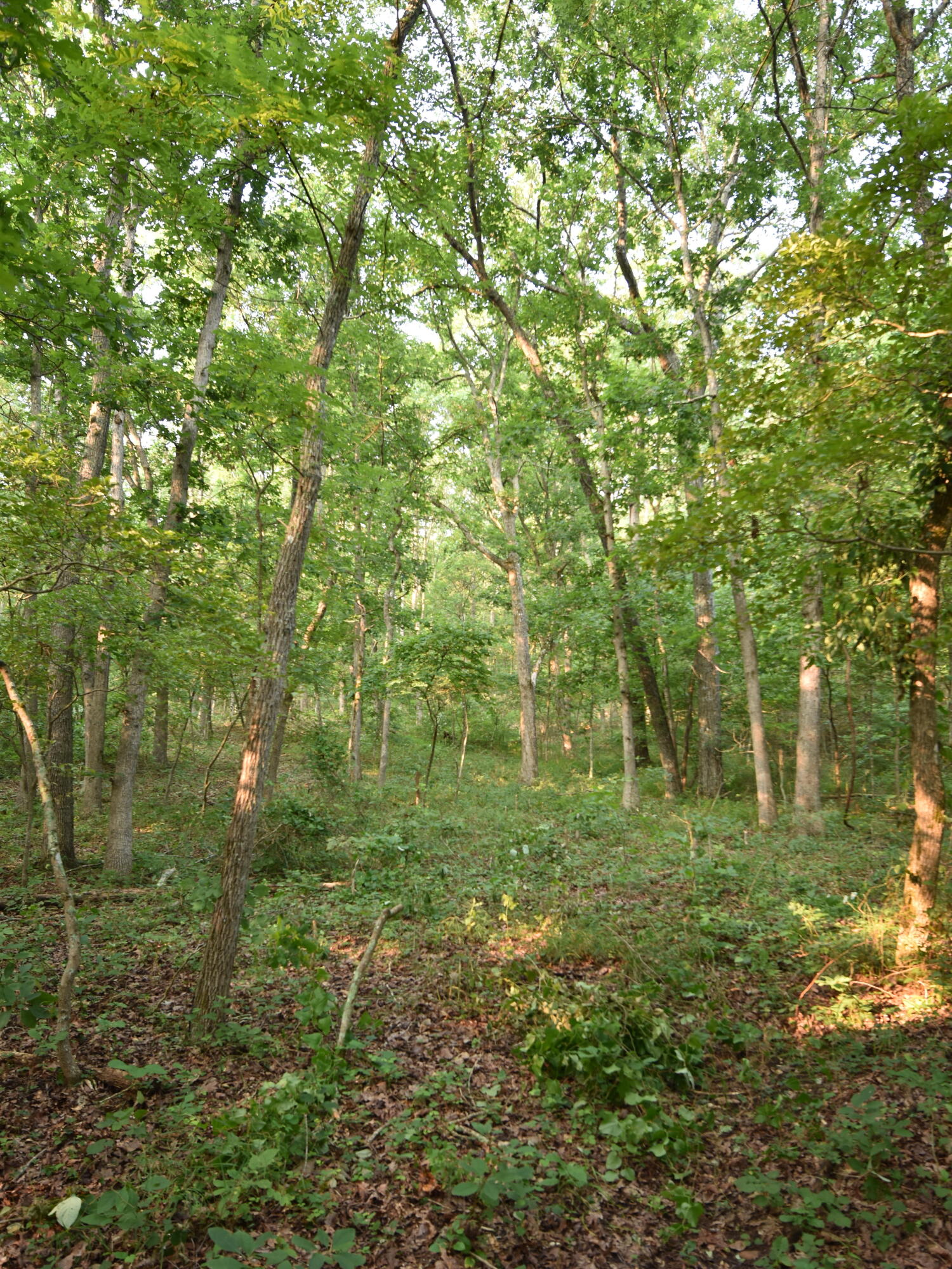 000 Highway Y Property Photo 12
