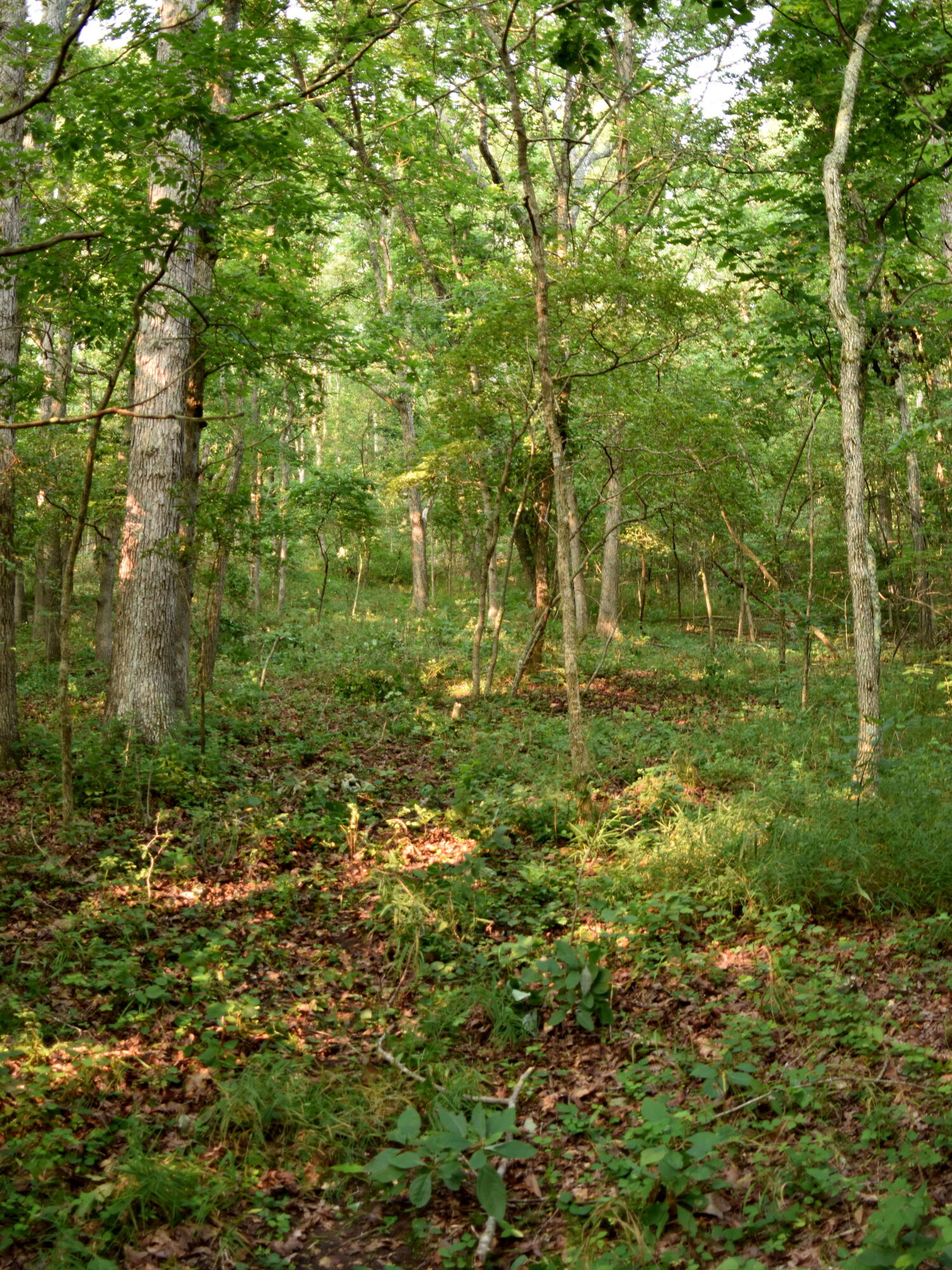 000 Highway Y Property Photo 14