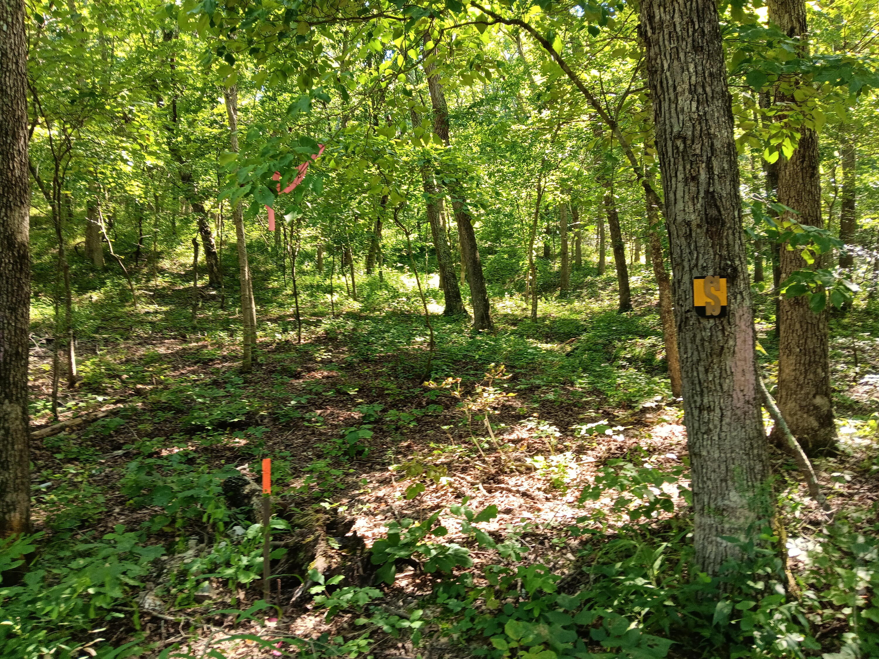 000 Highway Y Property Photo 15