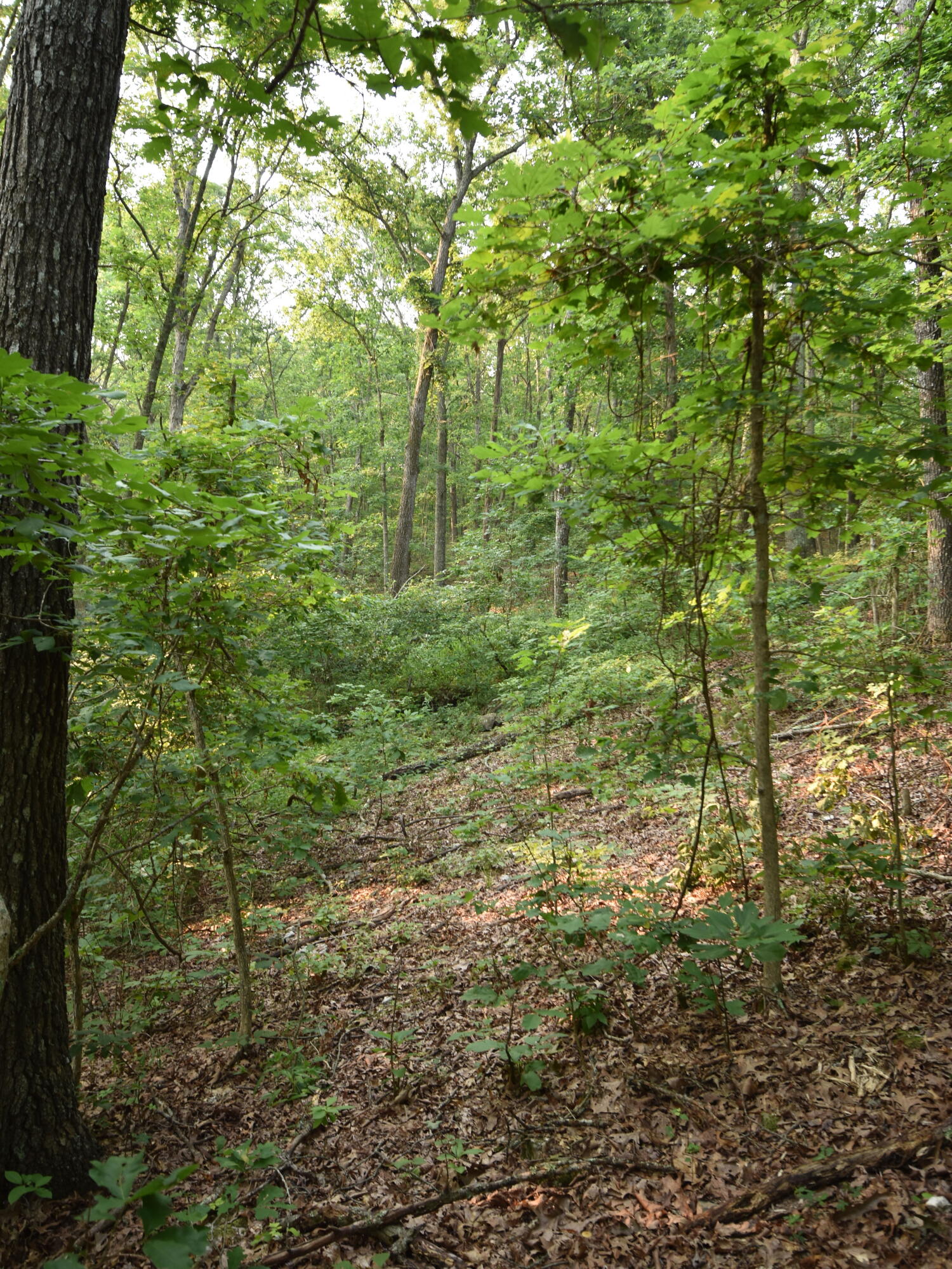 000 Highway Y Property Photo 16