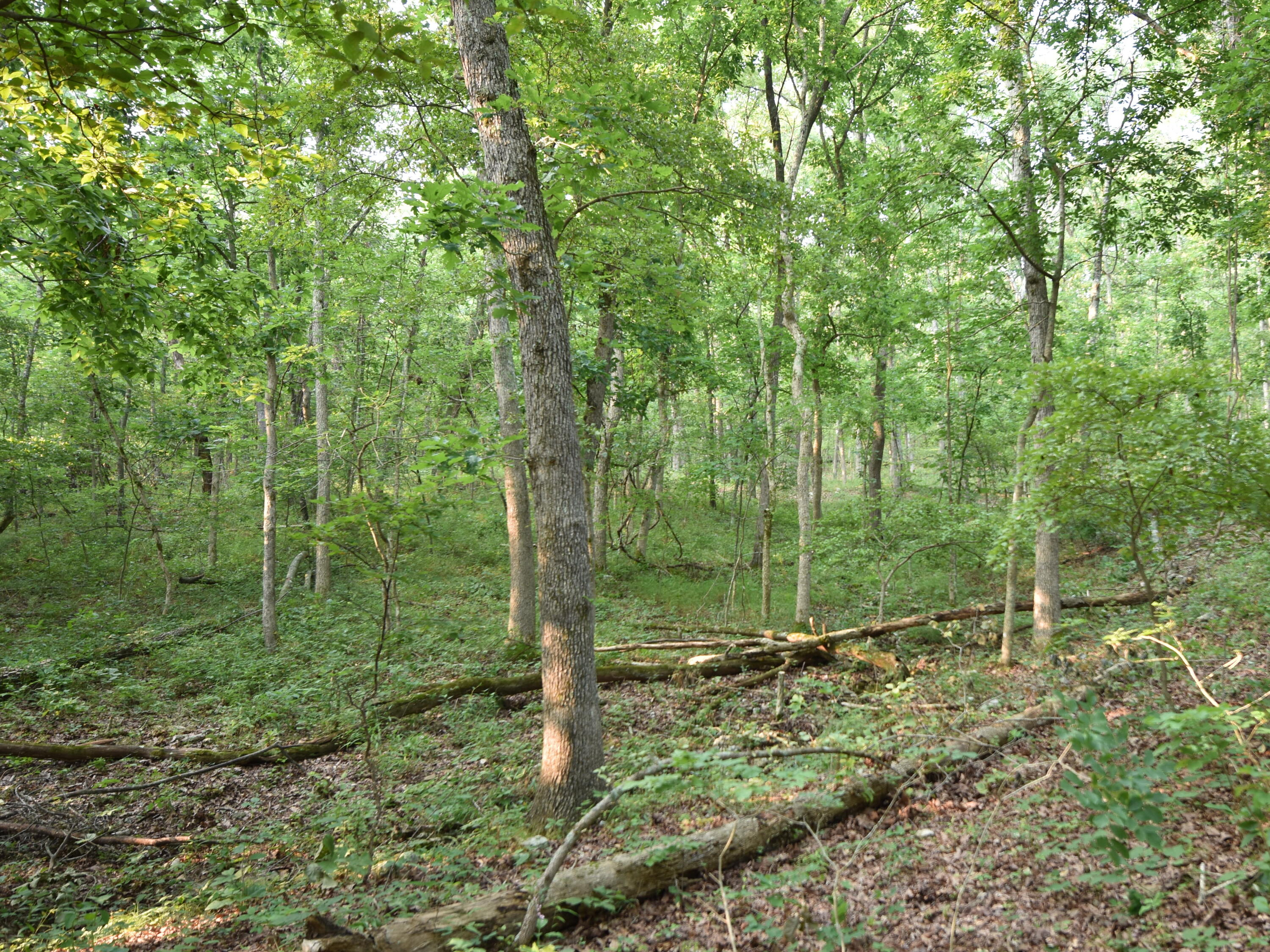 000 Highway Y Property Photo 19