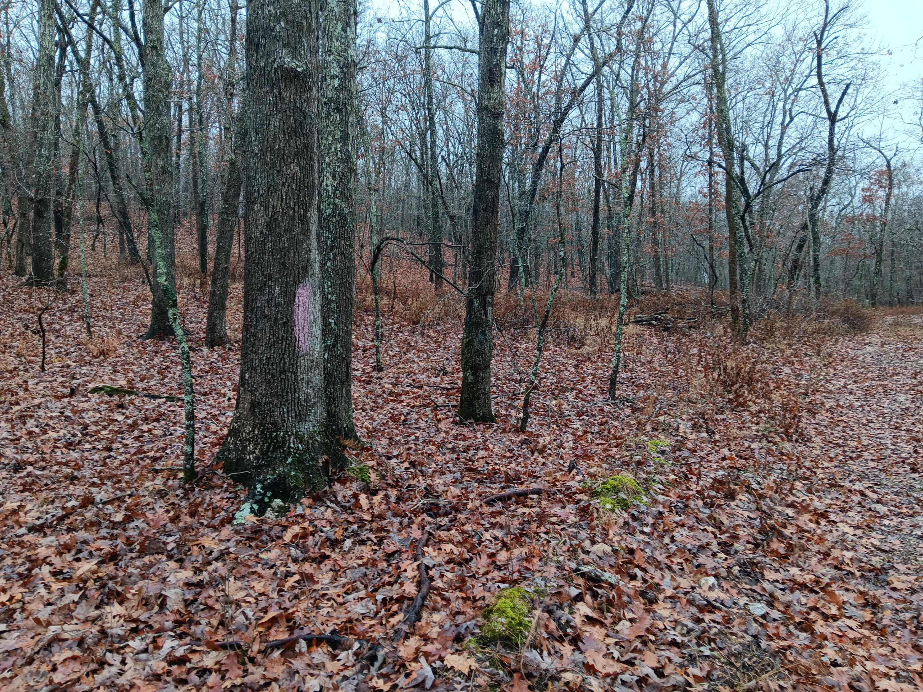 000 Highway Y Property Photo 21