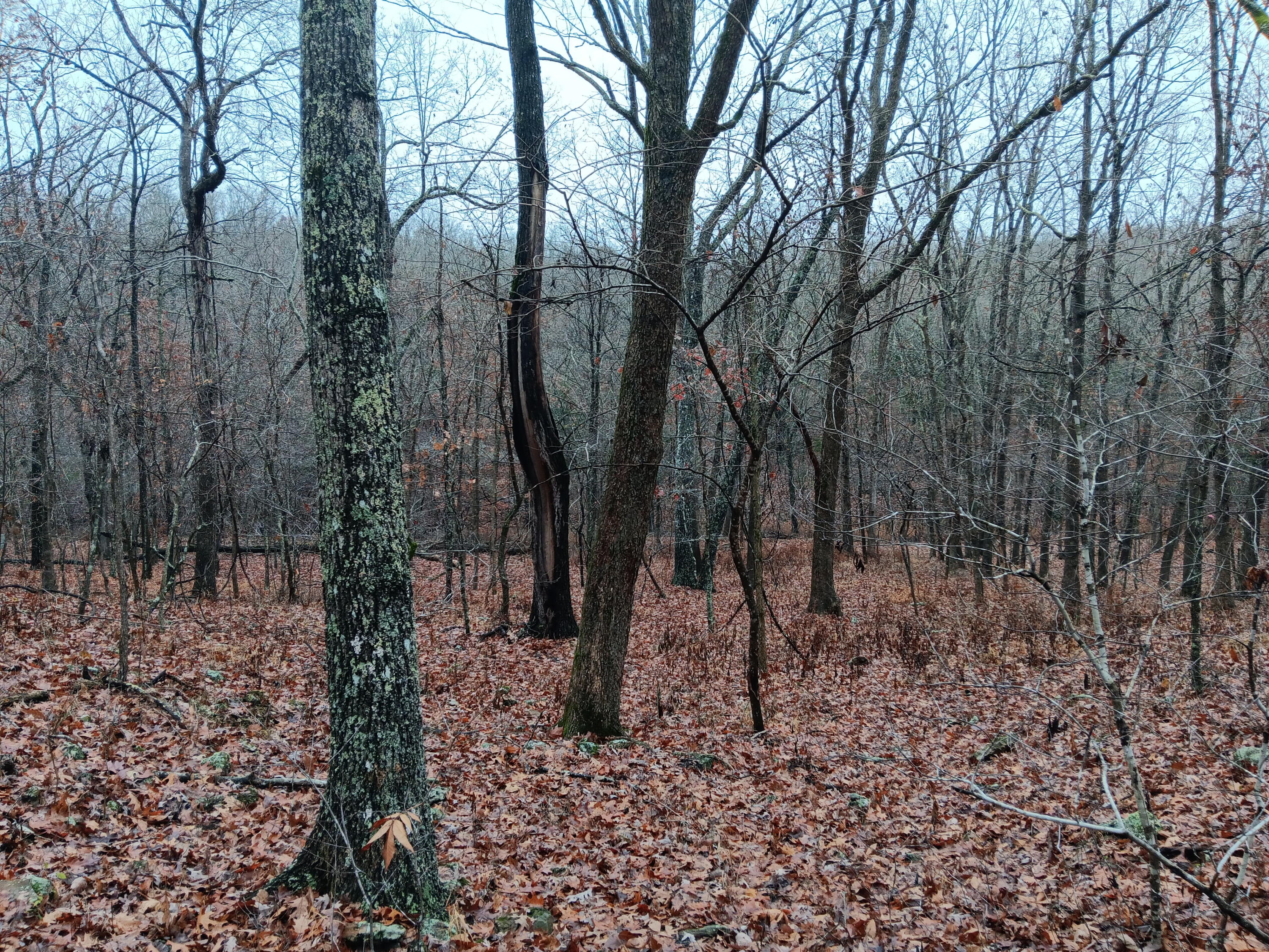 000 Highway Y Property Photo 22