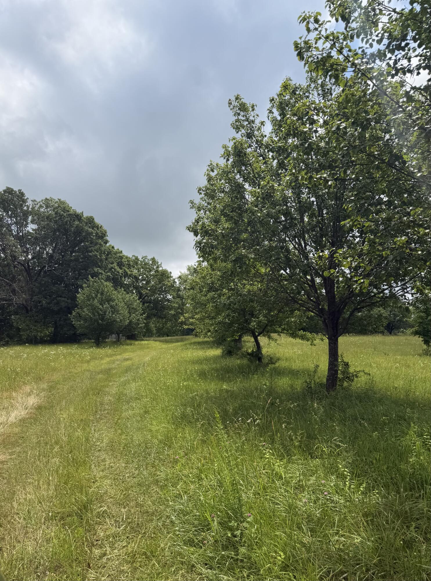 1510 State Highway Z Property Photo 4