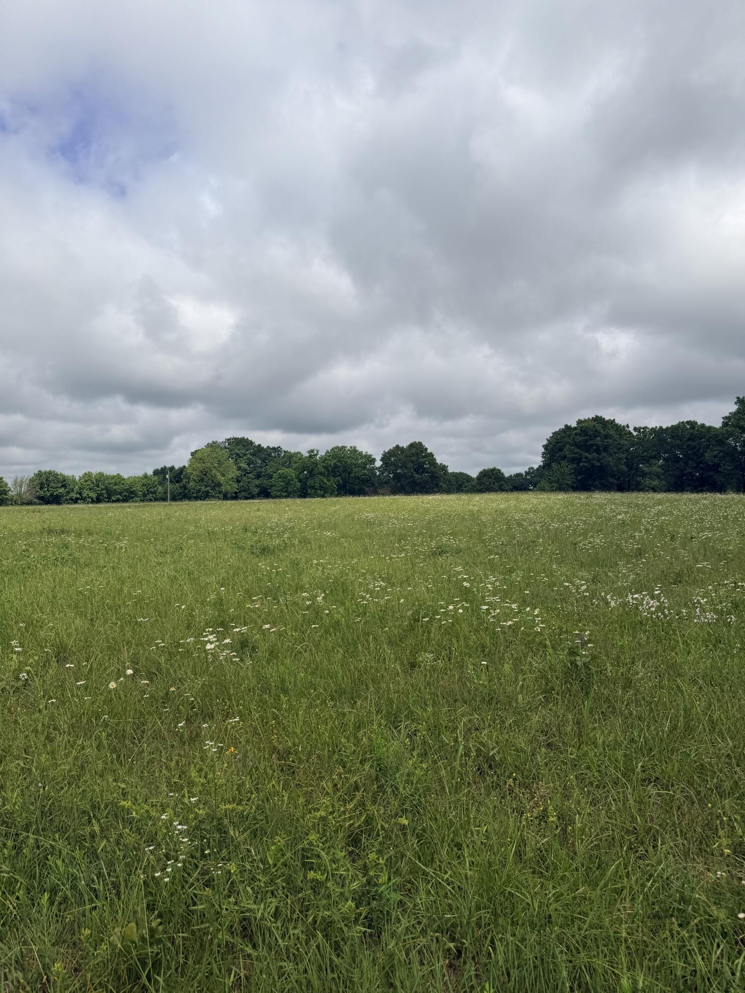 1510 State Highway Z Property Photo 6