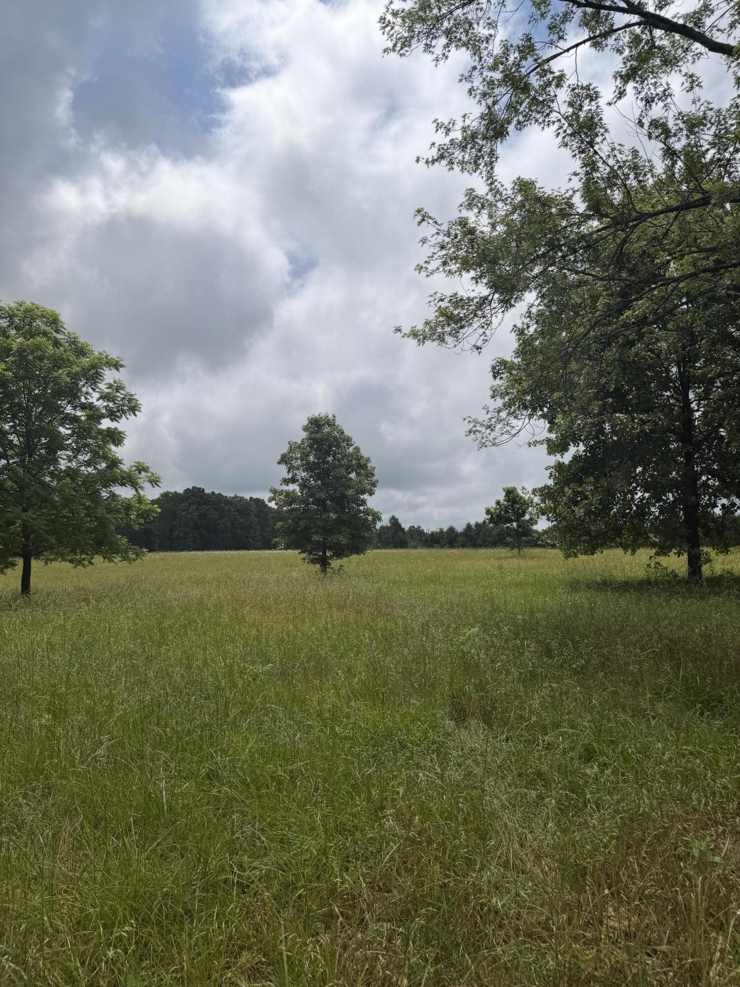 1510 State Highway Z Property Photo 9