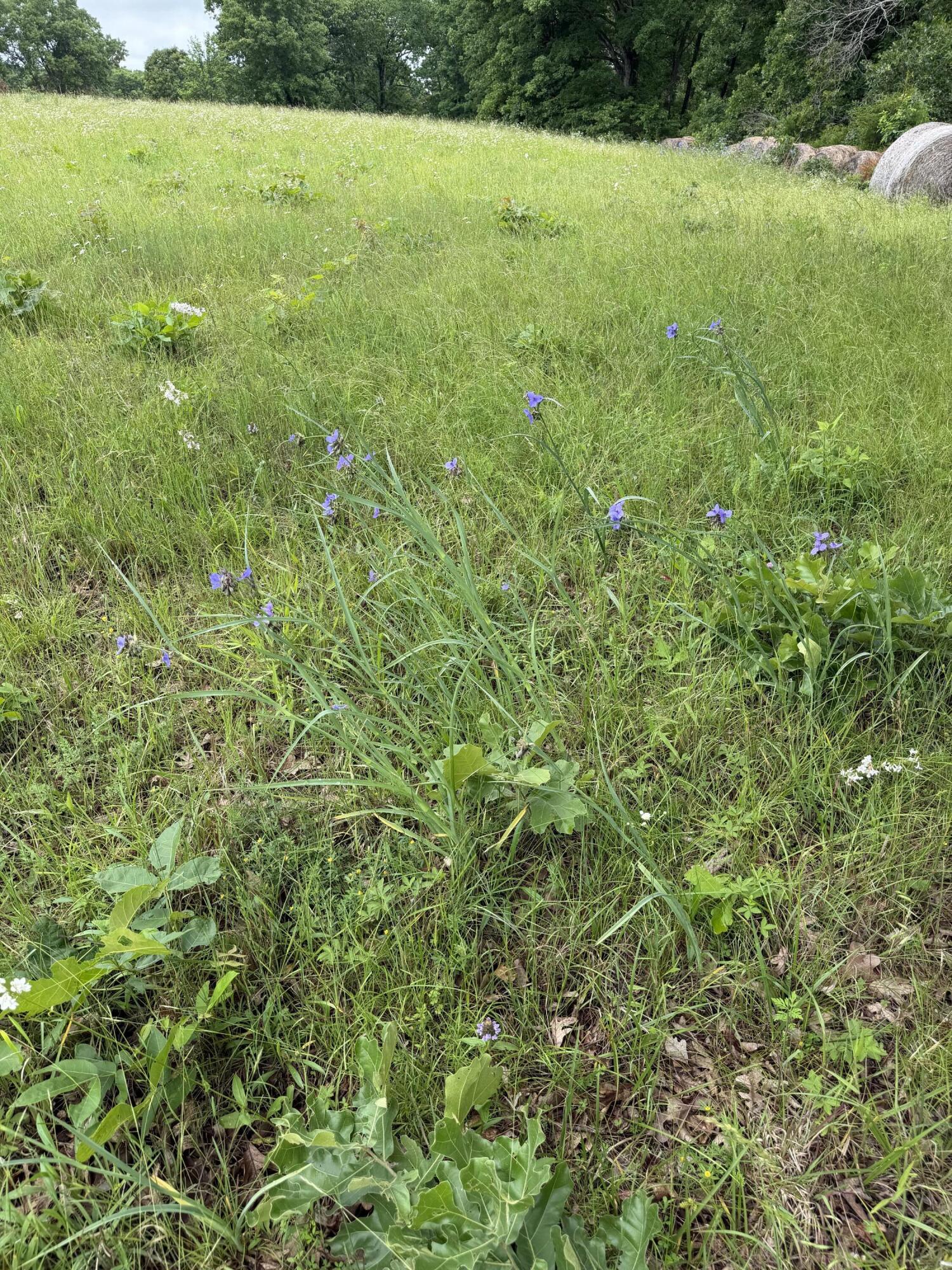 1510 State Highway Z Property Photo 12