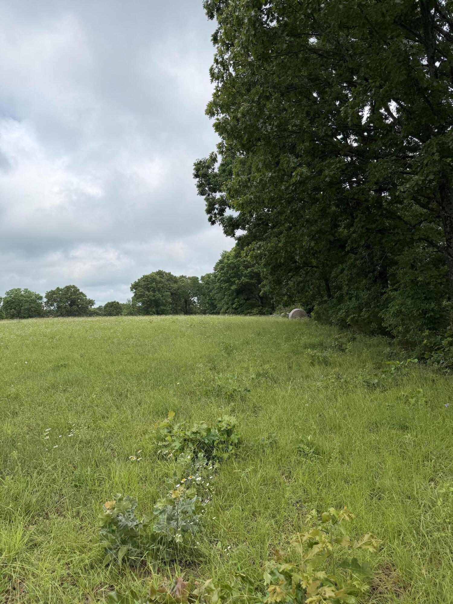 1510 State Highway Z Property Photo 13