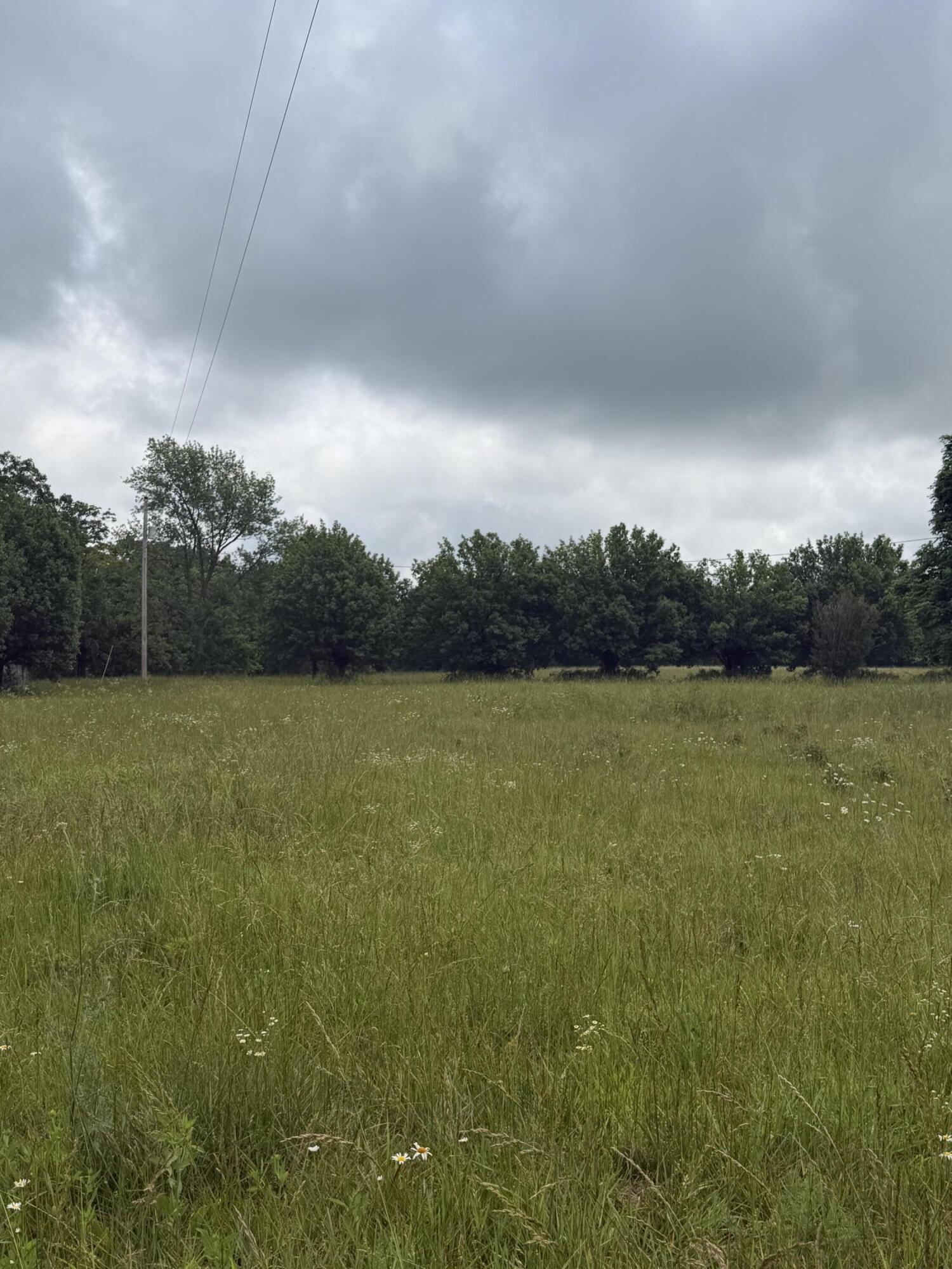 1510 State Highway Z Property Photo 14