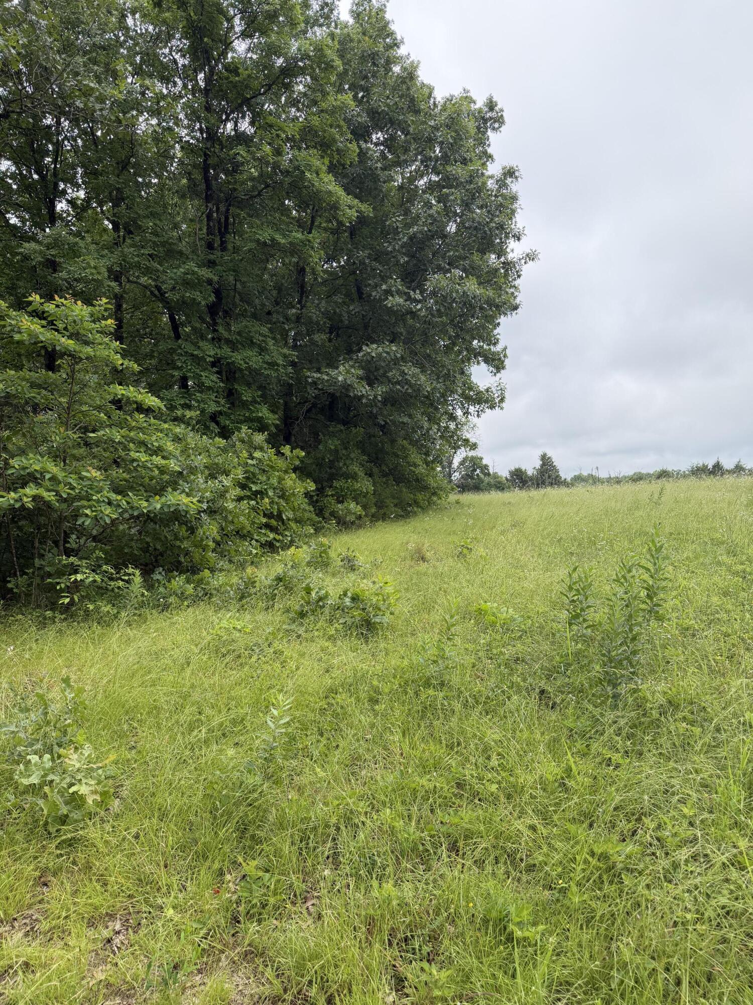 1510 State Highway Z Property Photo 15