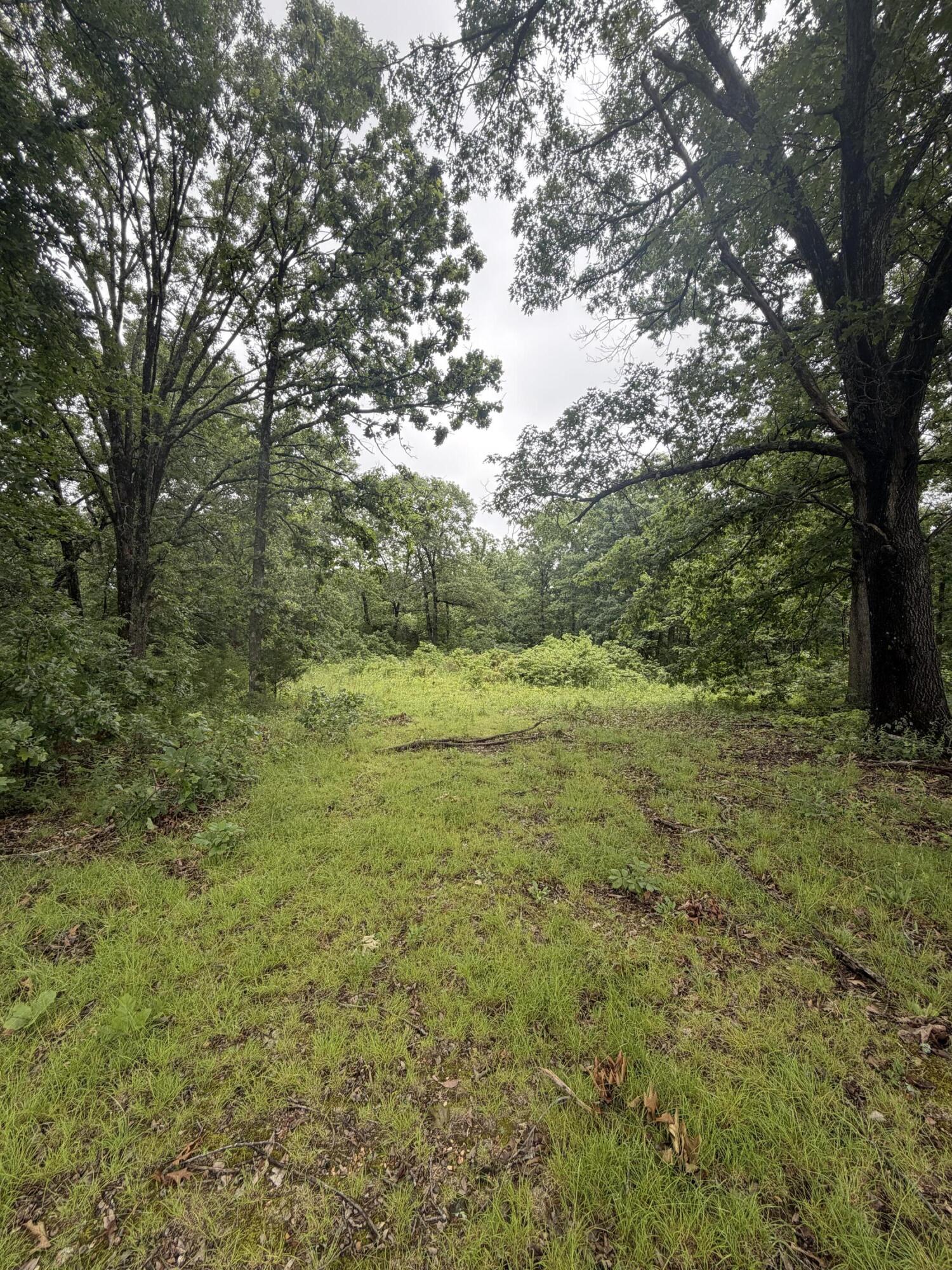 1510 State Highway Z Property Photo 16