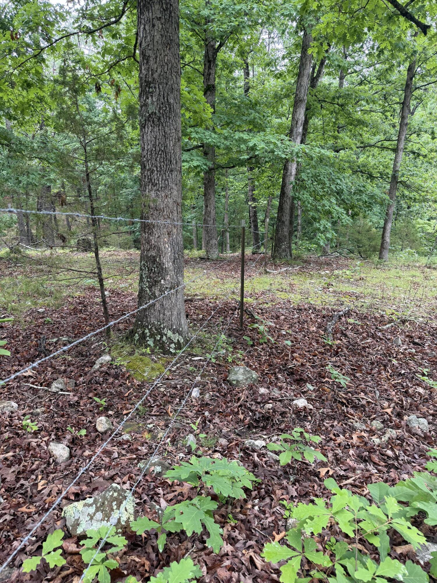 1510 State Highway Z Property Photo 18