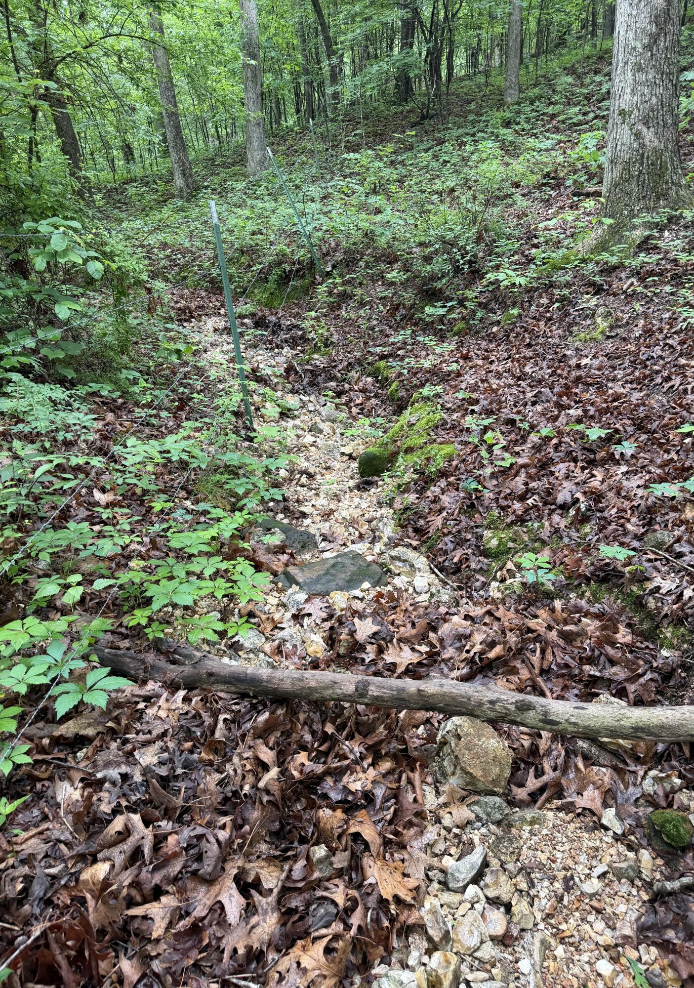 1510 State Highway Z Property Photo 21