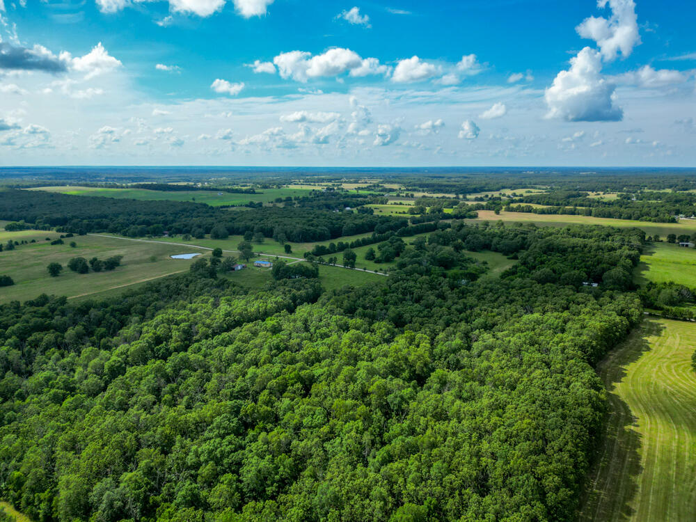 10175 Doe Run Road Property Photo 6