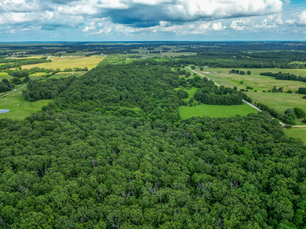 10175 Doe Run Road Property Photo 10