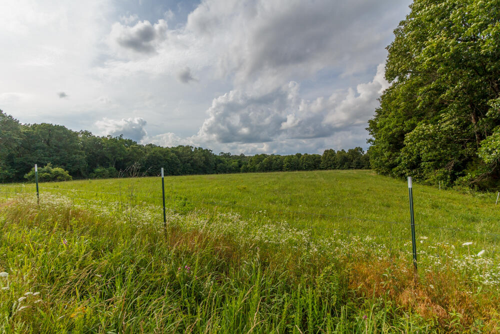 10175 Doe Run Road Property Photo 12