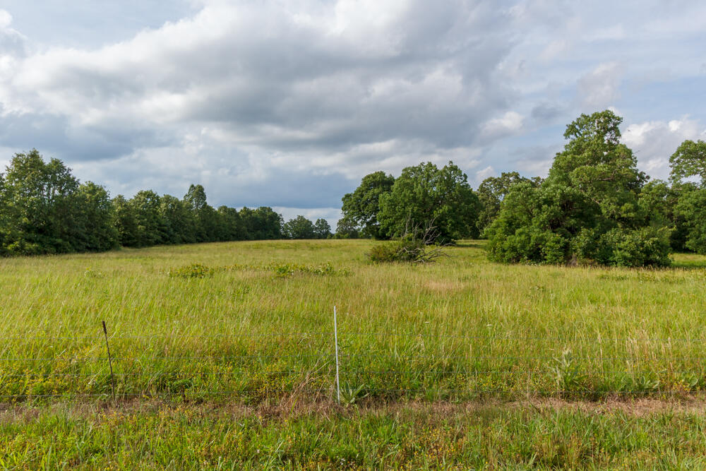 10175 Doe Run Road Property Photo 13