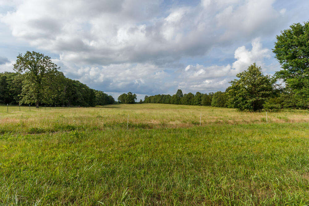 10175 Doe Run Road Property Photo 14