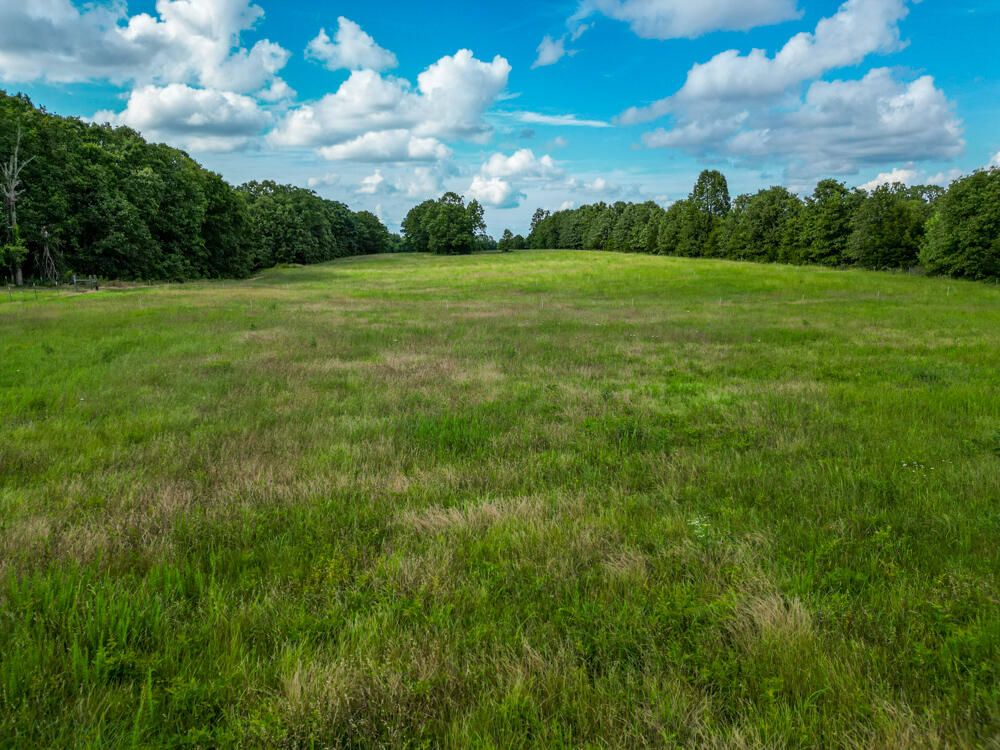 10175 Doe Run Road Property Photo 15
