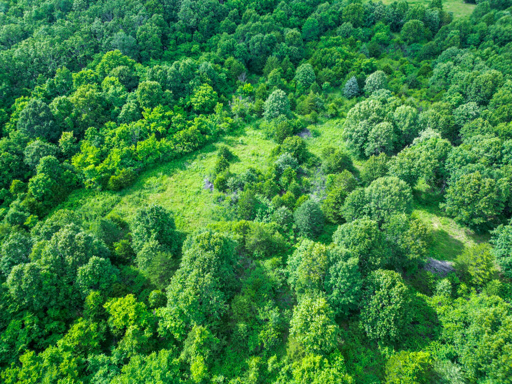 10175 Doe Run Road Property Photo 16