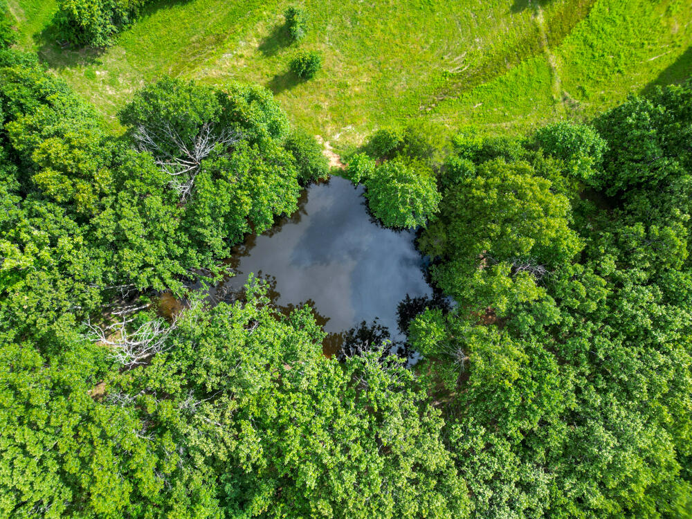 10175 Doe Run Road Property Photo 17