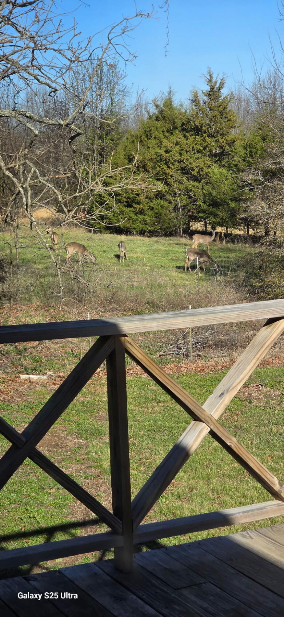10175 Doe Run Road Property Photo 18