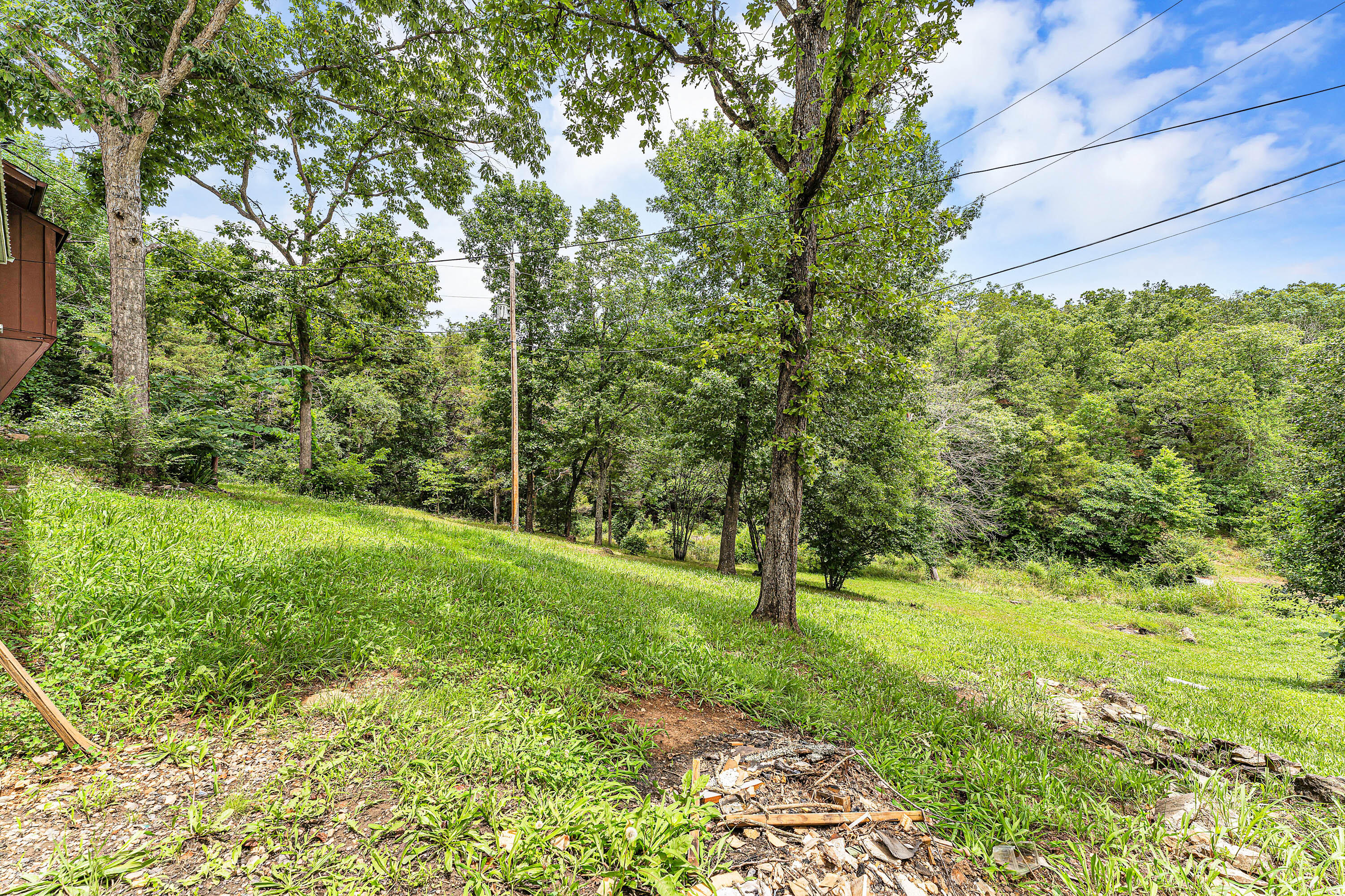 2594 State Highway F Property Photo 27