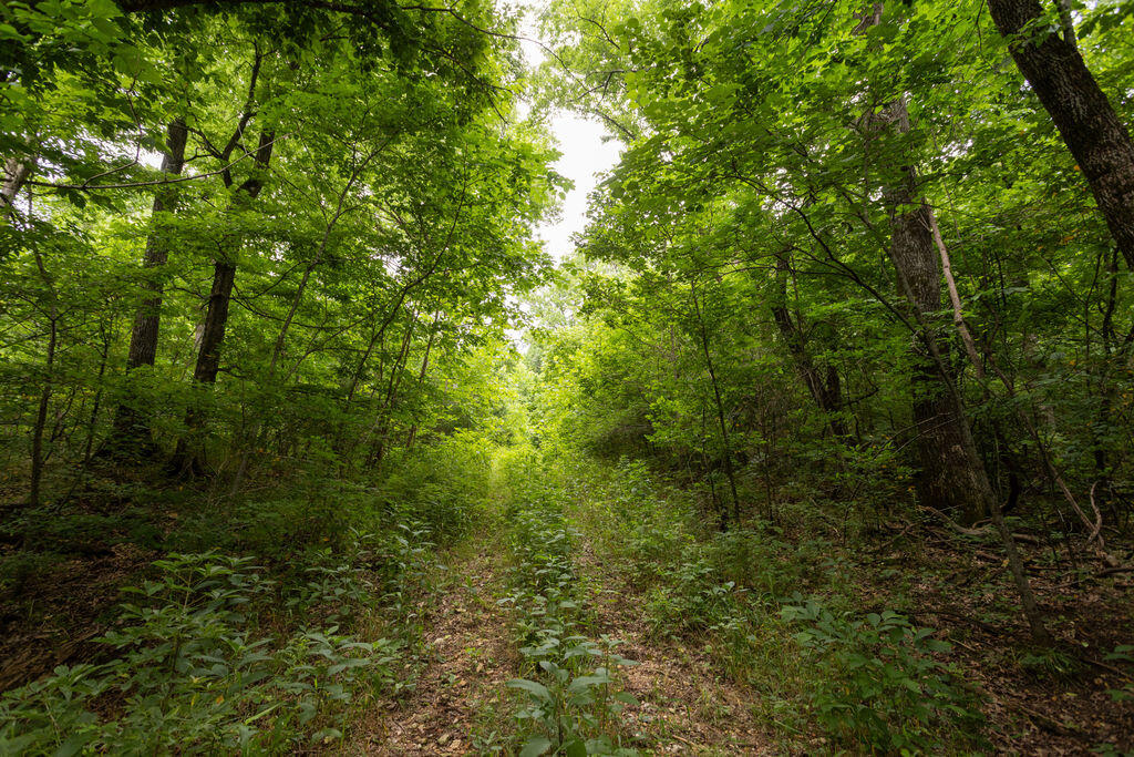 000 County Road Dd 447 Property Photo 43