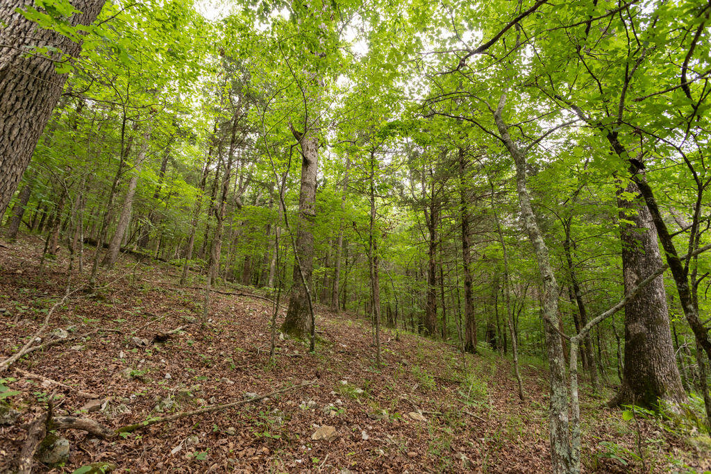 000 County Road Dd 447 Property Photo 44