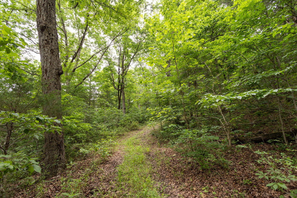 000 County Road Dd 447 Property Photo 45