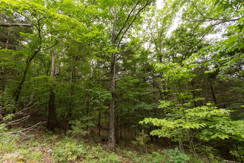 000 County Road Dd 447 Property Photo 46
