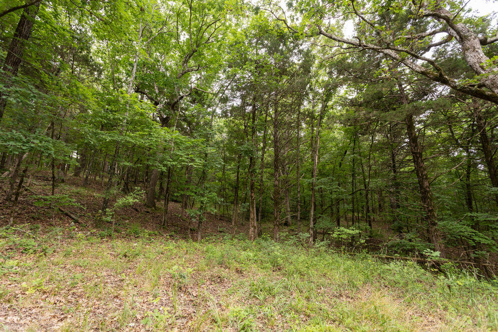 000 County Road Dd 447 Property Photo 47