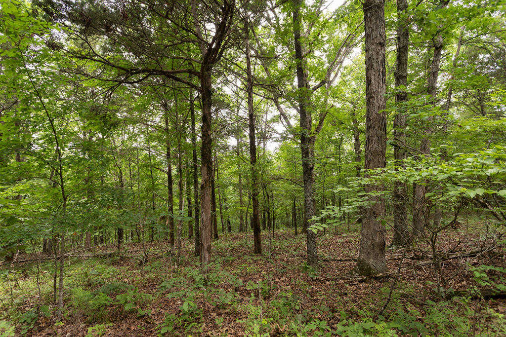000 County Road Dd 447 Property Photo 48