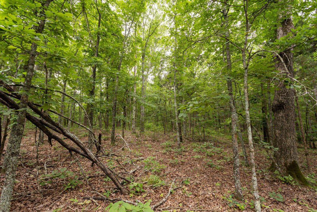 000 County Road Dd 447 Property Photo 49
