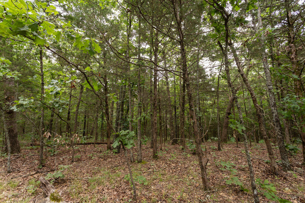 000 County Road Dd 447 Property Photo 52